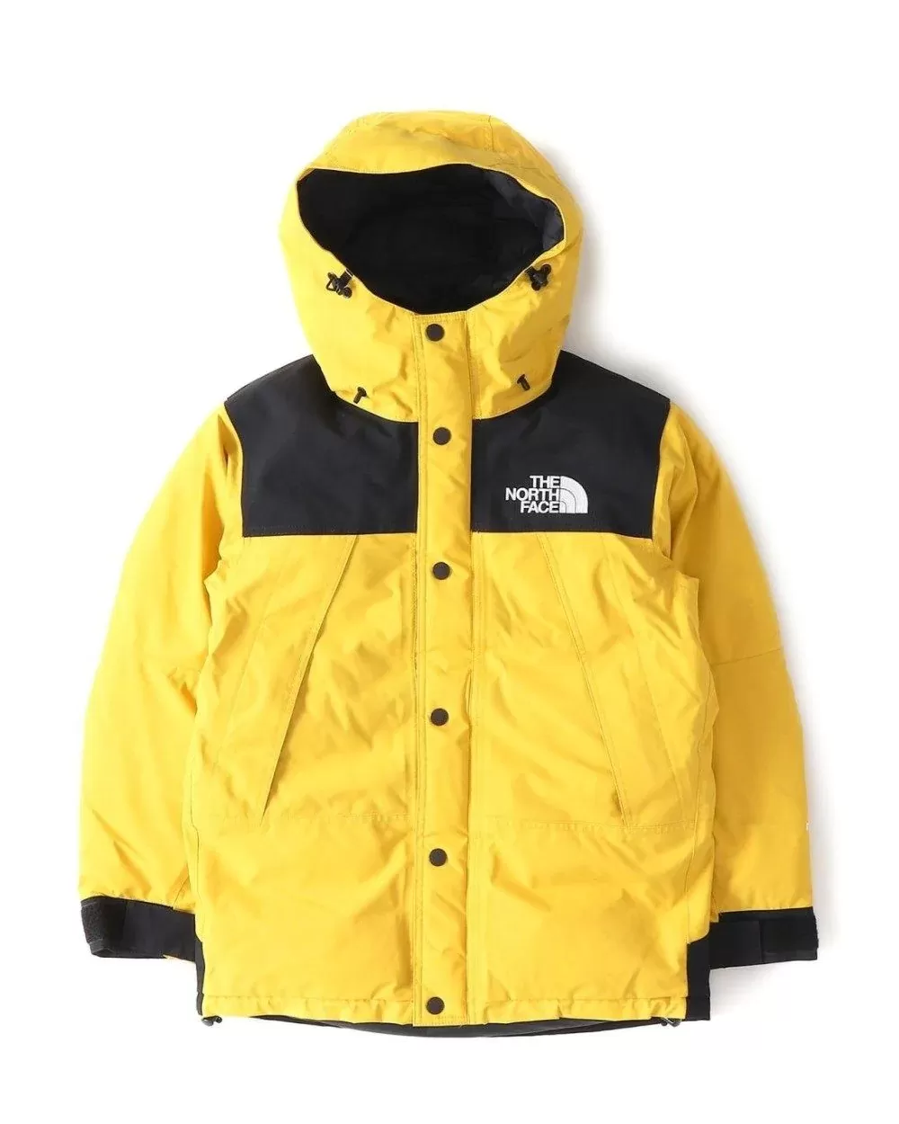 The North Face Men's Mountain Down Jacket Gore-Tex