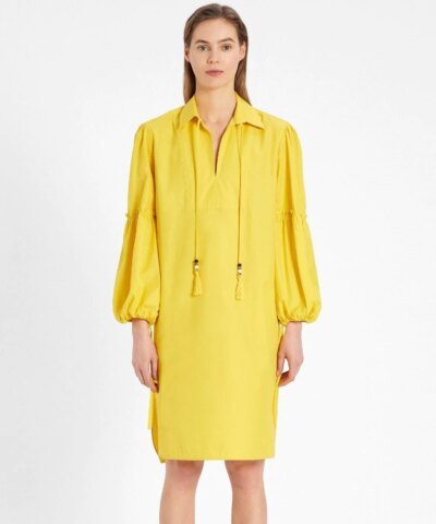 Max Mara Cotton Poplin Dress