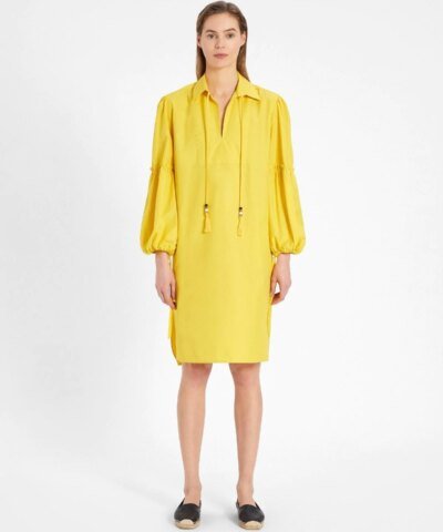 Max Mara Cotton Poplin Dress