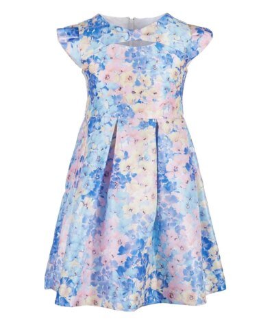 Bonnie Jean Toddler Girls Floral-Print Cap-Sleeve Dress