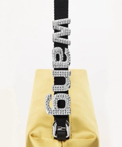 Alexander Wang Heiress Satin Pouch With Crystal Logo, Yellow