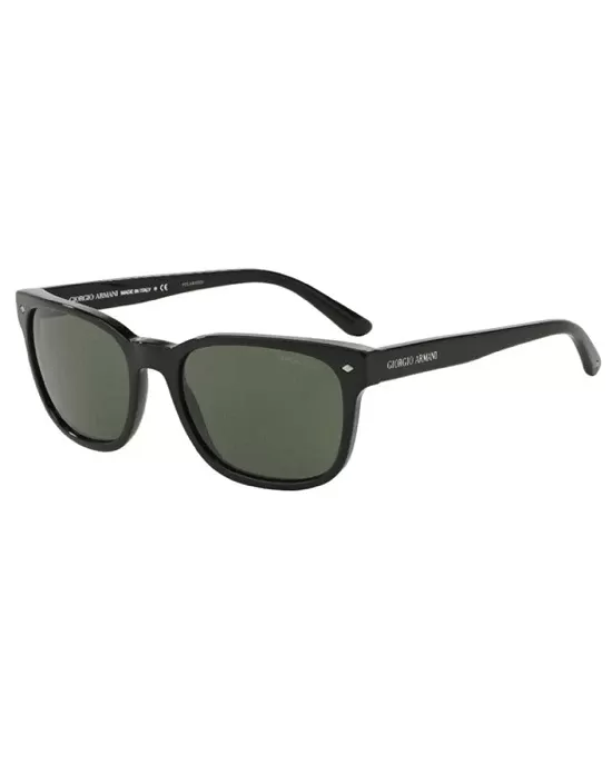 GIORGIO ARMANI AR8049 SUNGLASSES