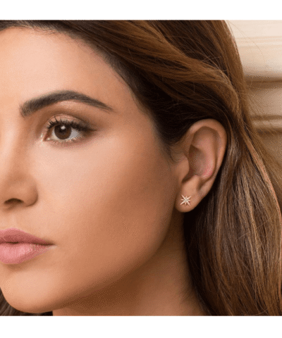 Apm Monaco METEORITES ROSE Asymmetric Earring Set