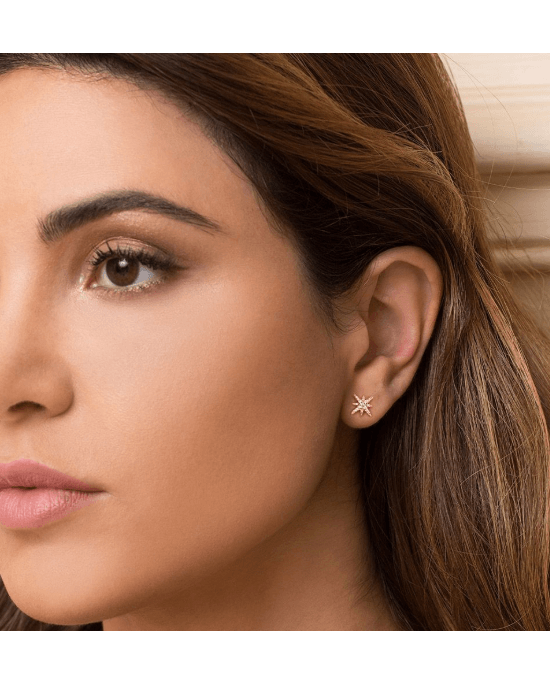 Apm Monaco METEORITES ROSE Asymmetric Earring Set