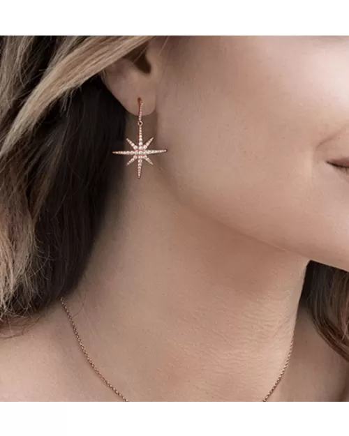 Apm Monaco Meteorites Rose Earrings
