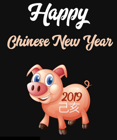 Women's Pullover Hoodie Chinese New Year 2019 - Year of the Pig / Boar