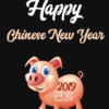 Women's Fitted V-Neck T-Shirt Chinese New Year 2019 - Year of the Pig / Boar
