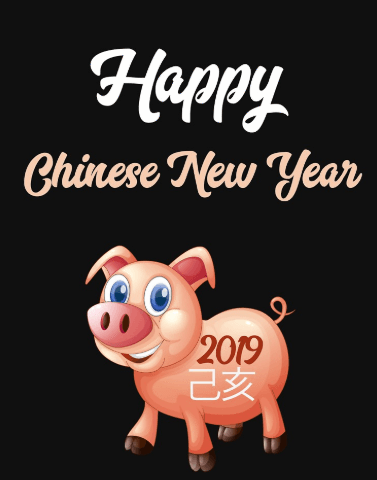 Women's Fitted V-Neck T-Shirt Chinese New Year 2019 - Year of the Pig / Boar