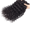 Cranberry Brazilian Hair Water Wave Bundles With 4 Bundles Closure