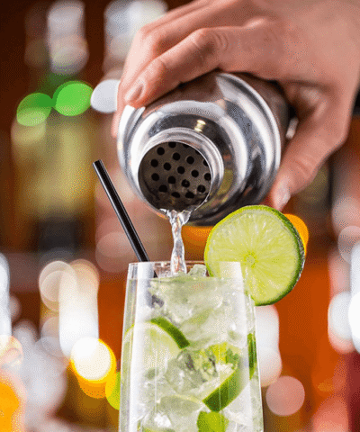 Stainless Steel Cocktail Shaker Set