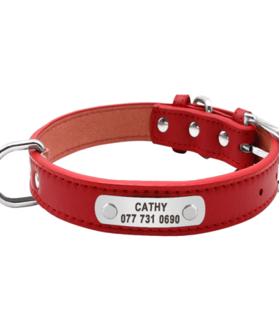 Personalized Leather Dog ID Collar