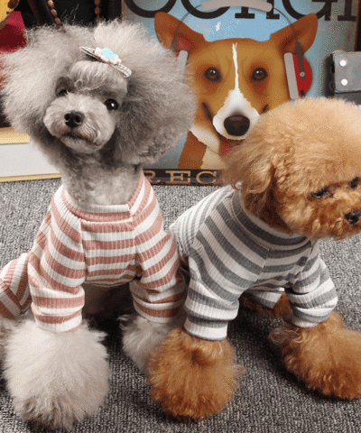 Pet Dog Stripes Pajamas Jumpsuits