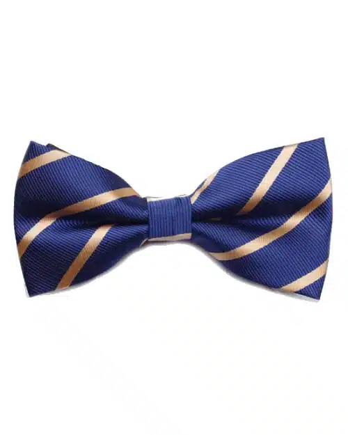 Men's Matera Stripe Pre-Tied Bow Tie