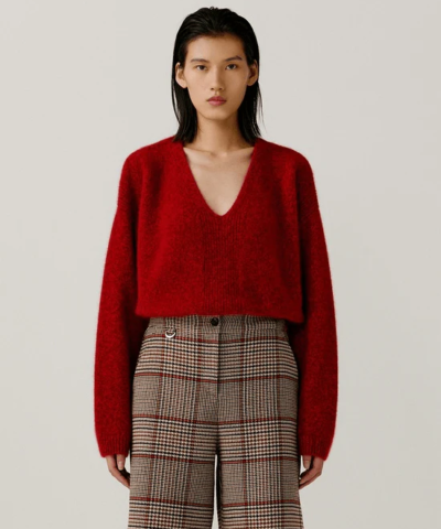 Noralux Cashmere V-Neck Knit Sweater In Wine