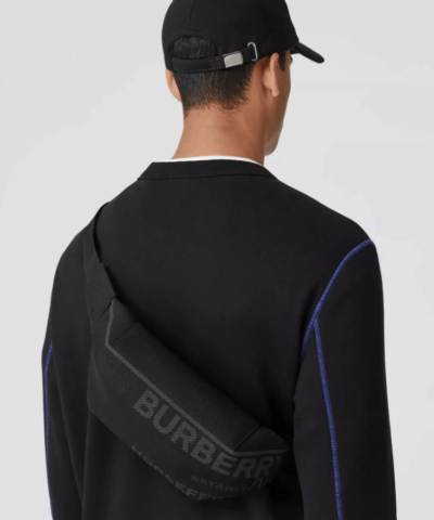 Burberry Horseferry Print Nylon Canvas Sonny Bum Bag In Black