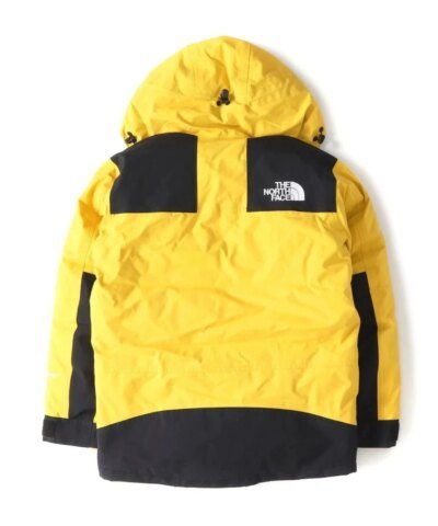 The North Face Men's Mountain Down Jacket Gore-Tex