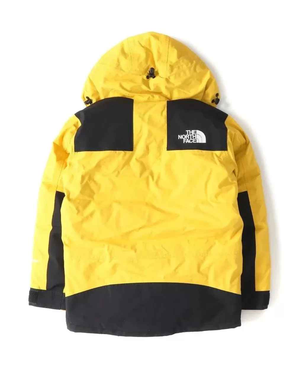 The North Face Men's Mountain Down Jacket Gore-Tex