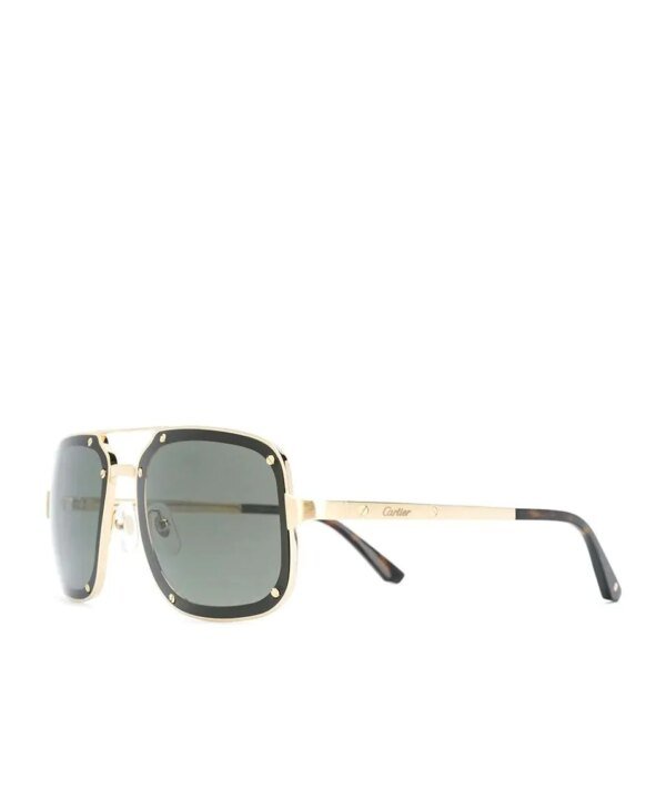Cartier Men's CT0194S Square Tinted Sunglasses