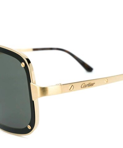 Cartier Men's CT0194S Square Tinted Sunglasses