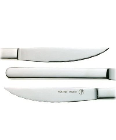 Wusthof 4-Piece Stainless-Steel Steak Knife Set with Storage Box