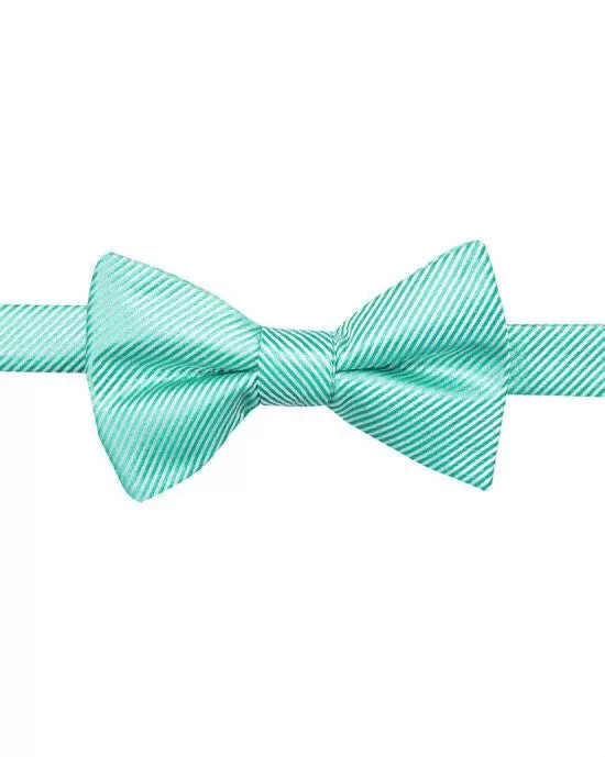 Countess Mara Solid Stripe Pre-Tied Bow Tie