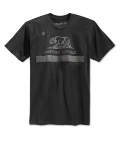 Ring Of Fire Mens California Flag Graphic T-Shirt