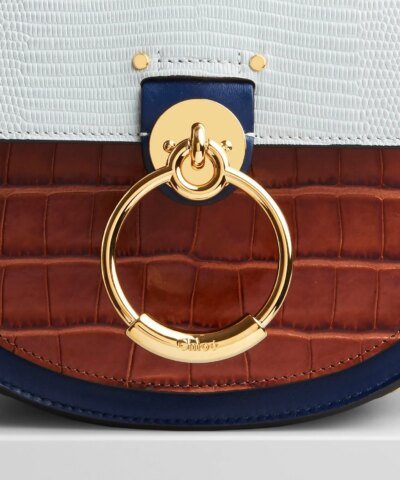 Chloe Tess Small Purse In Embossed Croco & Lizard Effect On Calfskin & Shiny Calfskin