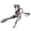 Metrokane Rabbit 6-Piece Wine Tool Kit (Silver)