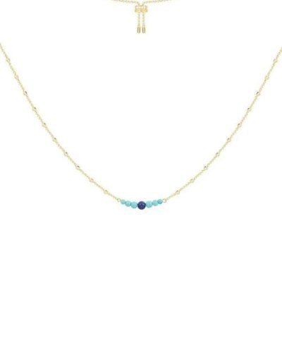 Apm Monaco Dainty Chain Adjustable Necklace