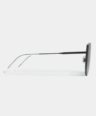 Gentle Monster Chameleon