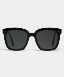 Gentle Monster Dreamer 17 01 Sunglasses