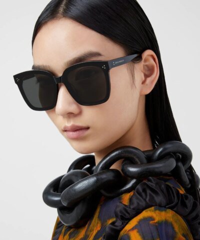 Gentle Monster Dreamer 17 Sunglasses