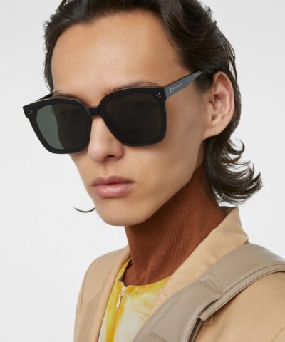 Gentle Monster Dreamer 17 01 Sunglasses