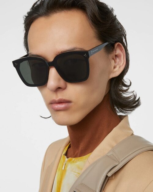 Gentle Monster Dreamer 17 01 Sunglasses