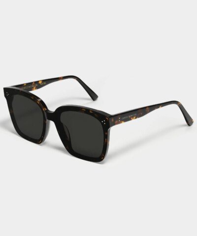 Gentle Monster Dreamer 17 Sunglasses