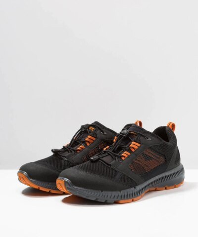 Ecco Terracruise II Men Hiking Shoes
