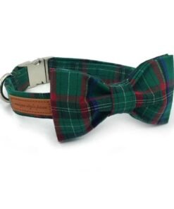 Green Check Pet Bowtie, Collar and Leashes