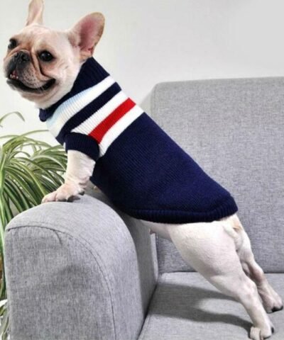 Pet Dog Winter Cartoon Jacket