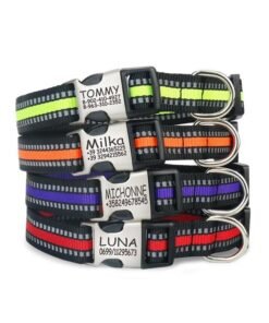 Reflective Nylon Personalized Engraved Dog Collar With ID