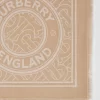 Burberry Lightweight Logo Graphic Cashmere Jacquard Scarf
