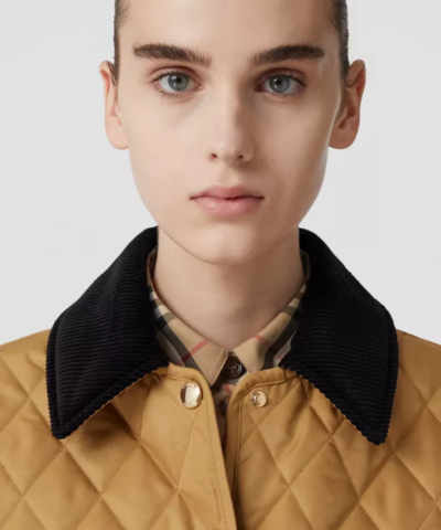 Burberry Corduroy Collar Diamond Quilted Jacket In Camel
