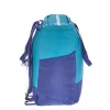 Patagonia Ultralight Blue Hole Tote Pack