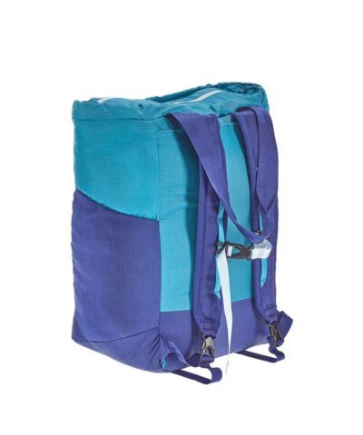 Patagonia Ultralight Blue Hole Tote Pack