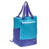Patagonia Ultralight Blue Hole Tote Pack