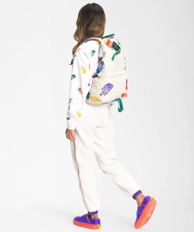 The North Face Unisex Chapter One 25 Liter Day Pack