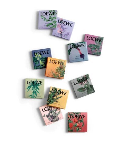 Loewe Home Scents Sample Set