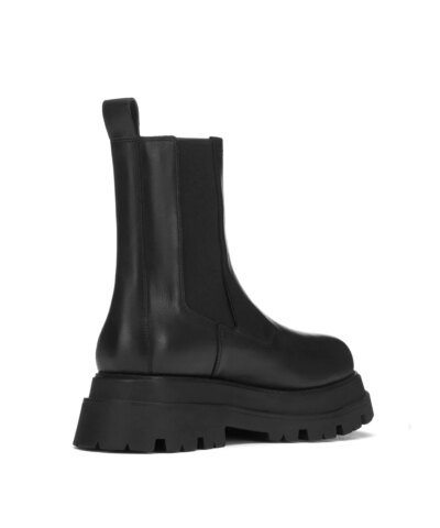 Ash Elite Tall Boots In Black Leather