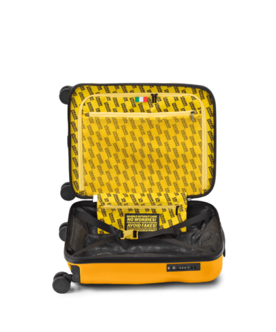 Crash Baggage Icon Cabin