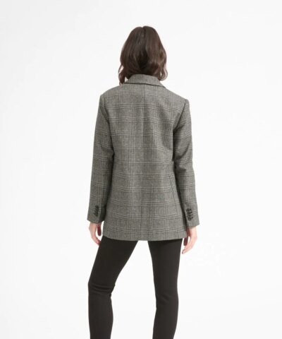 Everlane The Oversized Blazer