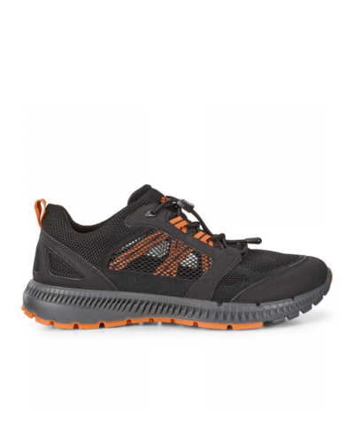 Ecco Terracruise II Men Hiking Shoes